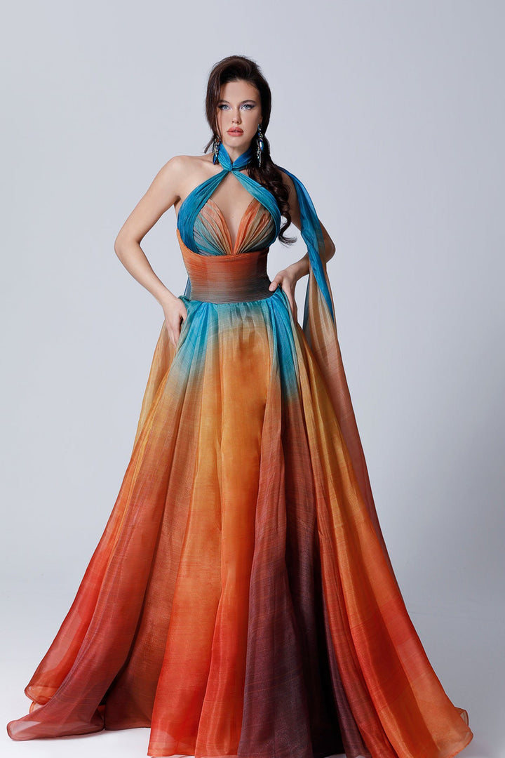 Digitalized Organza Dress with Grecian Neckline