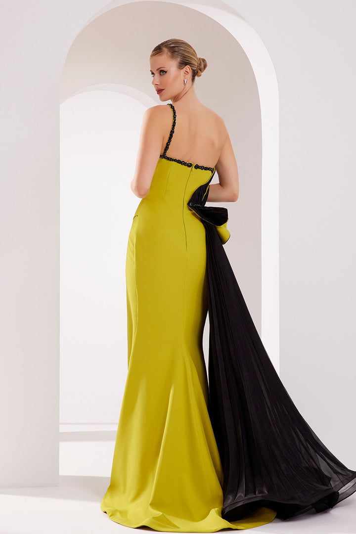 Heart-Shaped Bust Crepe-Organza Dress with Tail