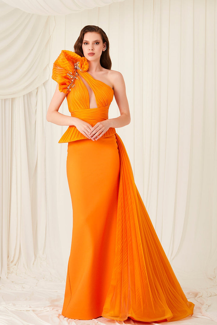 Tafta And Organza Asymmetrical Neckline Dress