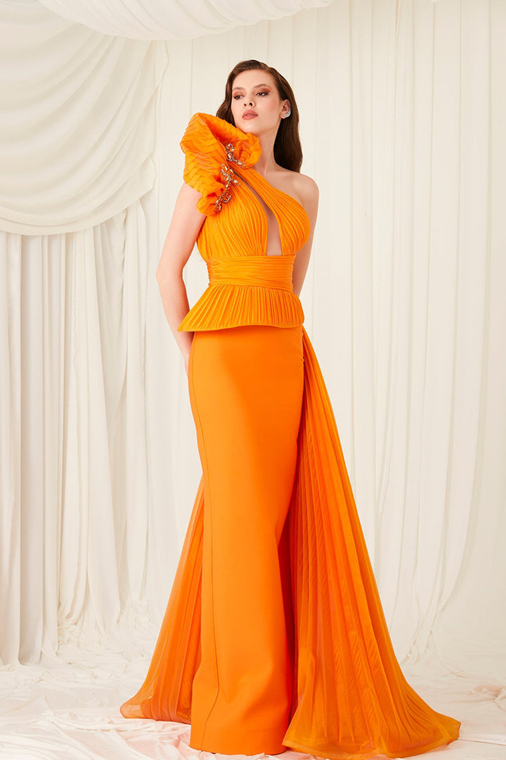 Tafta And Organza Asymmetrical Neckline Dress