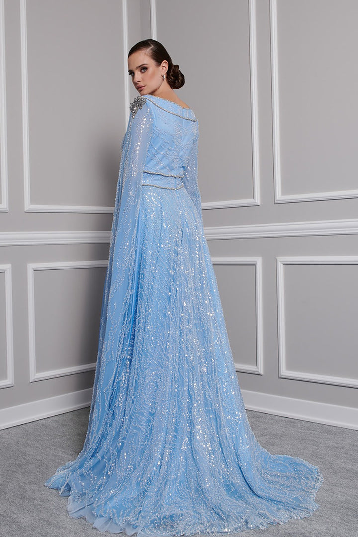 Payet Dress with Embroidered Tail Sleeves