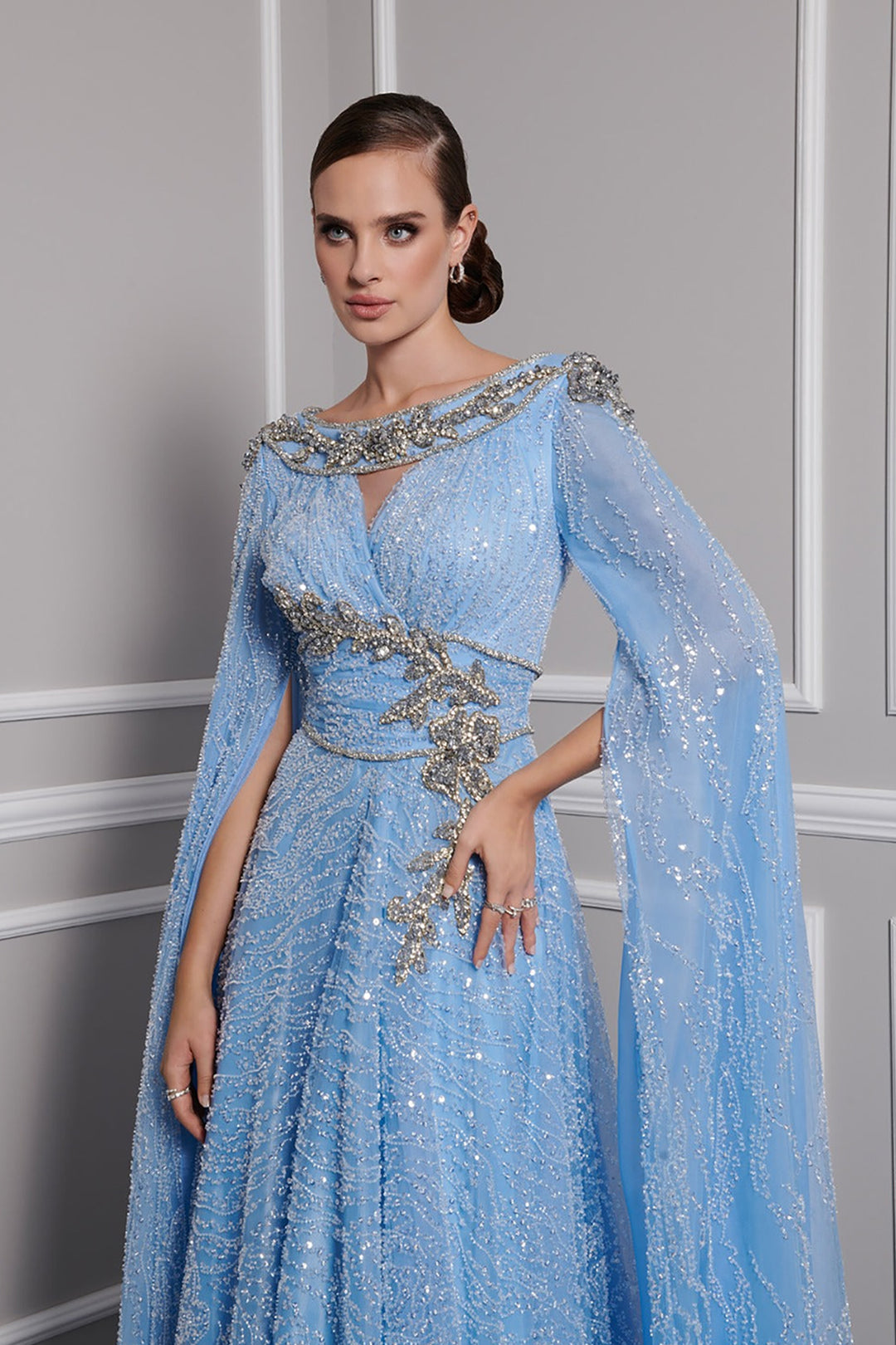Payet Dress with Embroidered Tail Sleeves