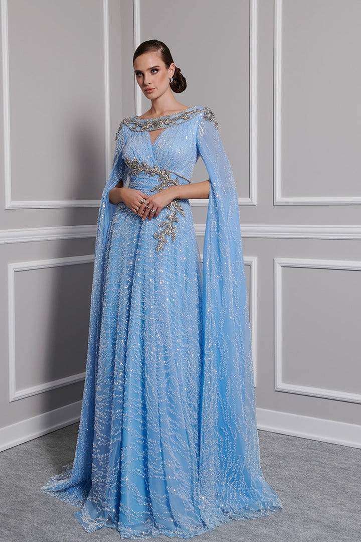 Payet Dress with Embroidered Tail Sleeves