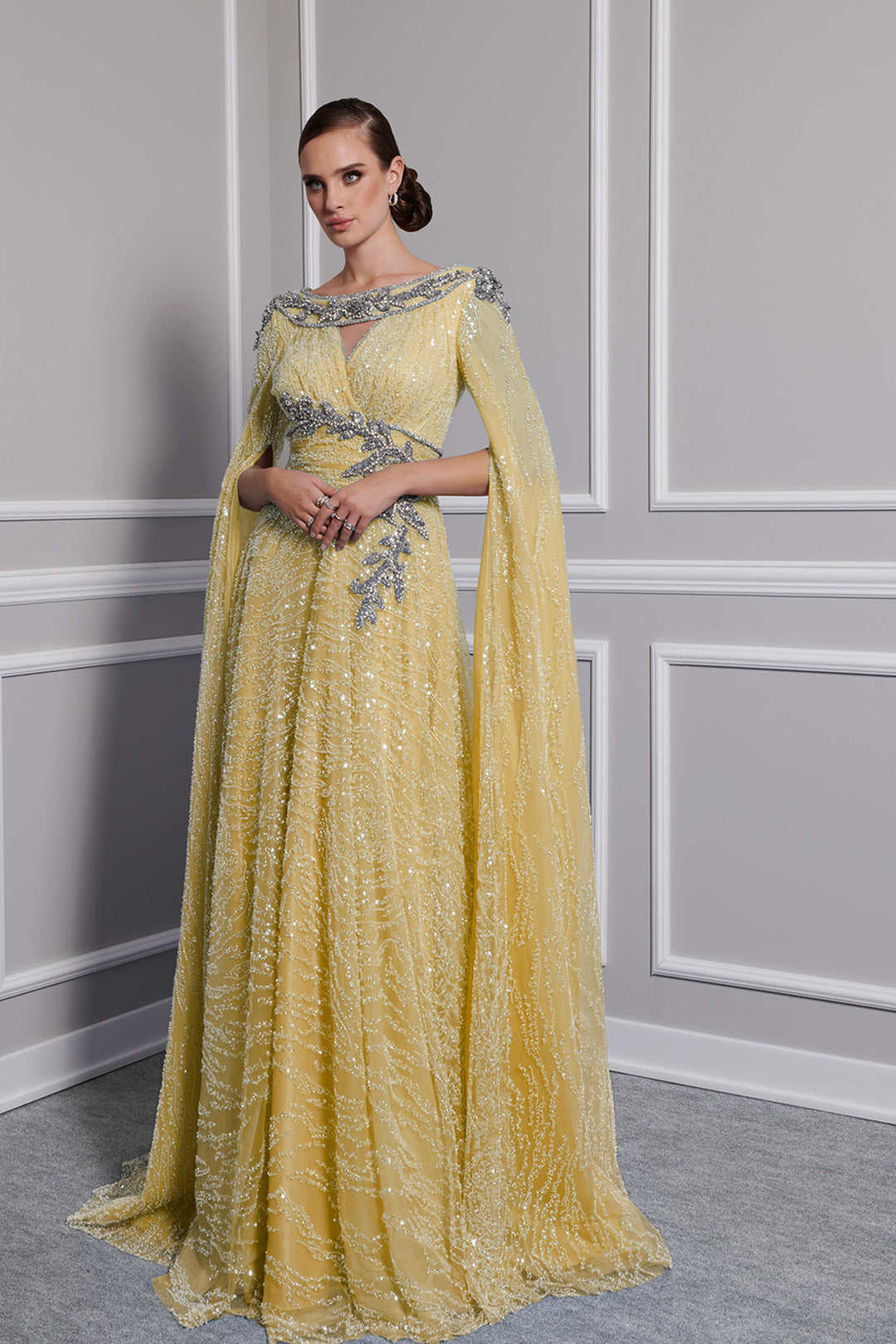 Payet Dress with Embroidered Tail Sleeves