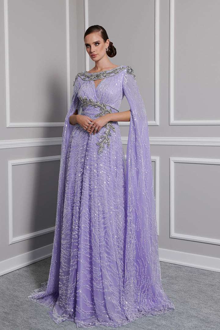 Payet Dress with Embroidered Tail Sleeves