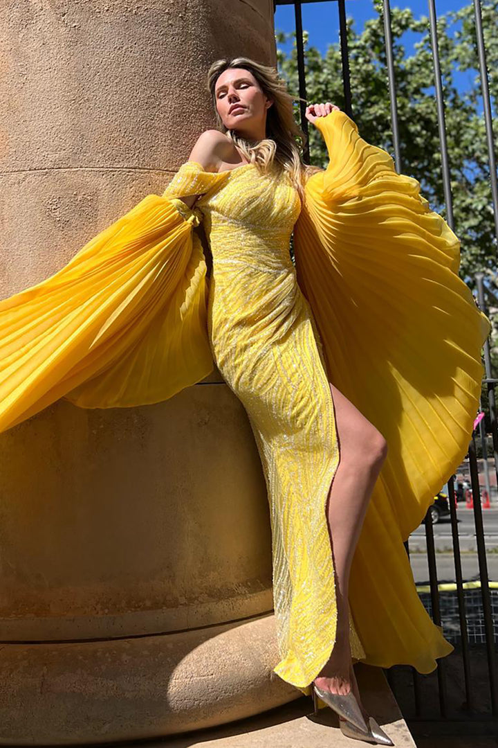 Payet Dress with Embroidered Embellishments