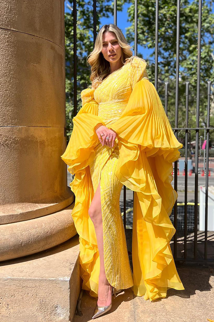 Payet Dress with Embroidered Embellishments