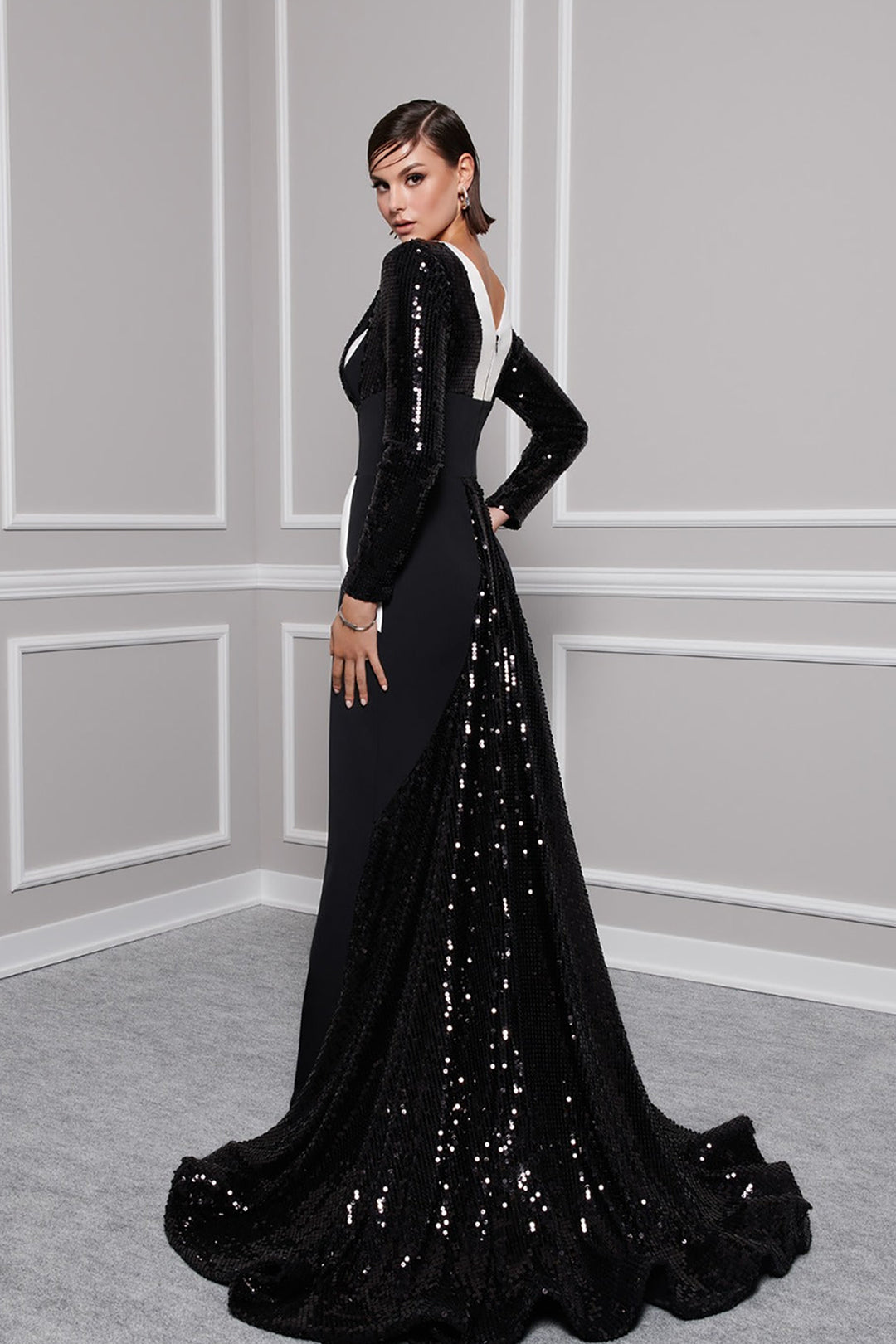 Crepe And Payet Dress with Embroidered Tail