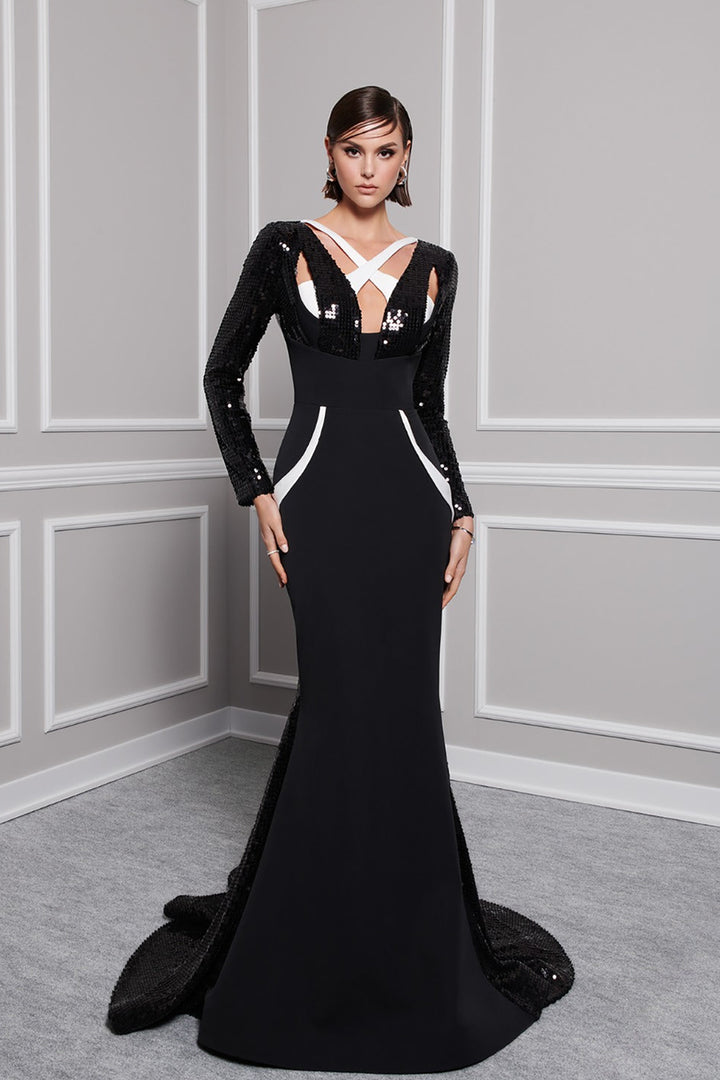 Crepe And Payet Dress with Embroidered Tail