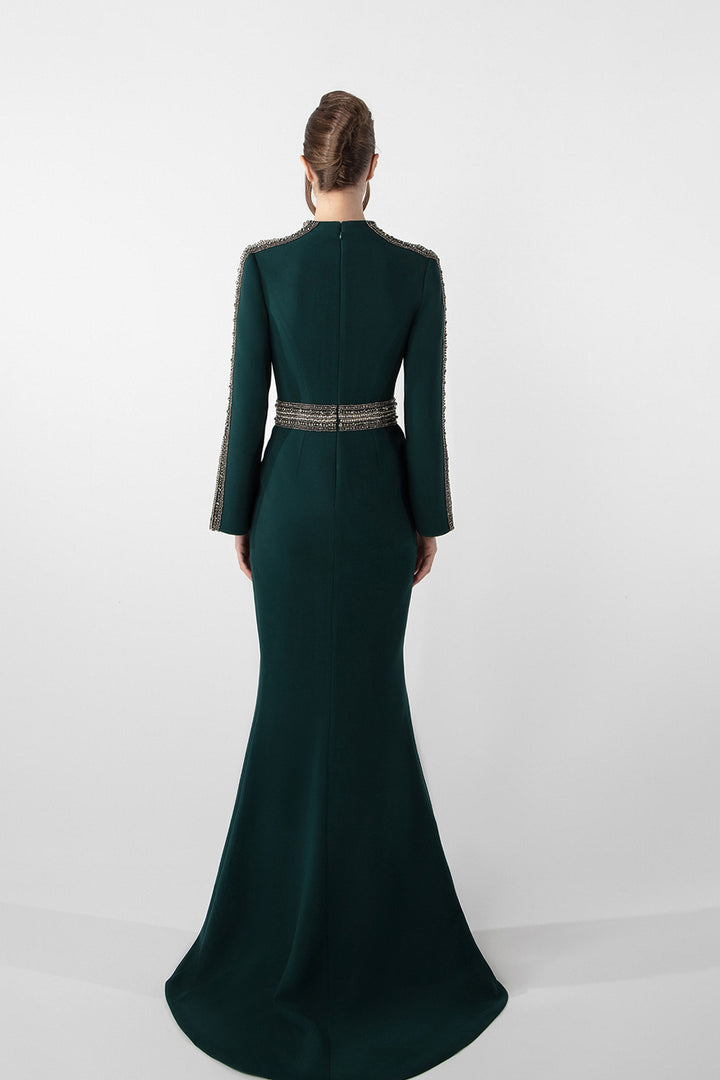 Long-Sleeve Embroidered Gown