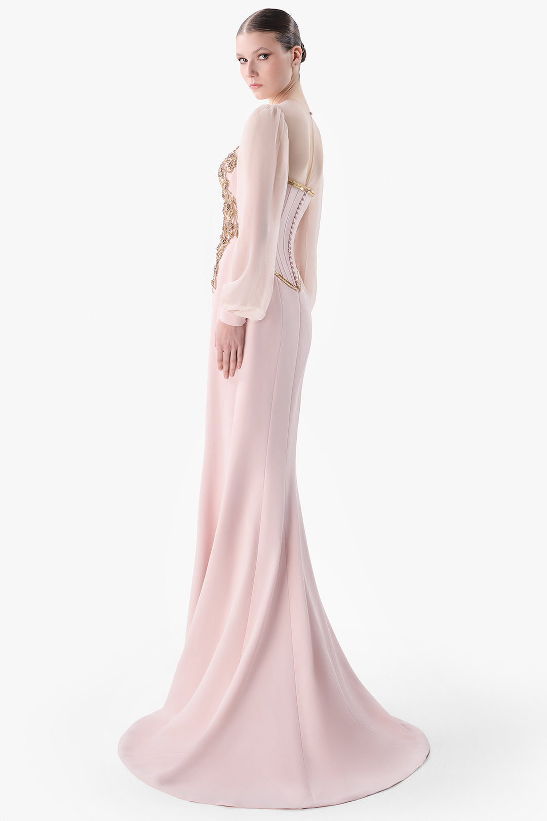 Embroidered Bodice Gown with Sheer Sleeves