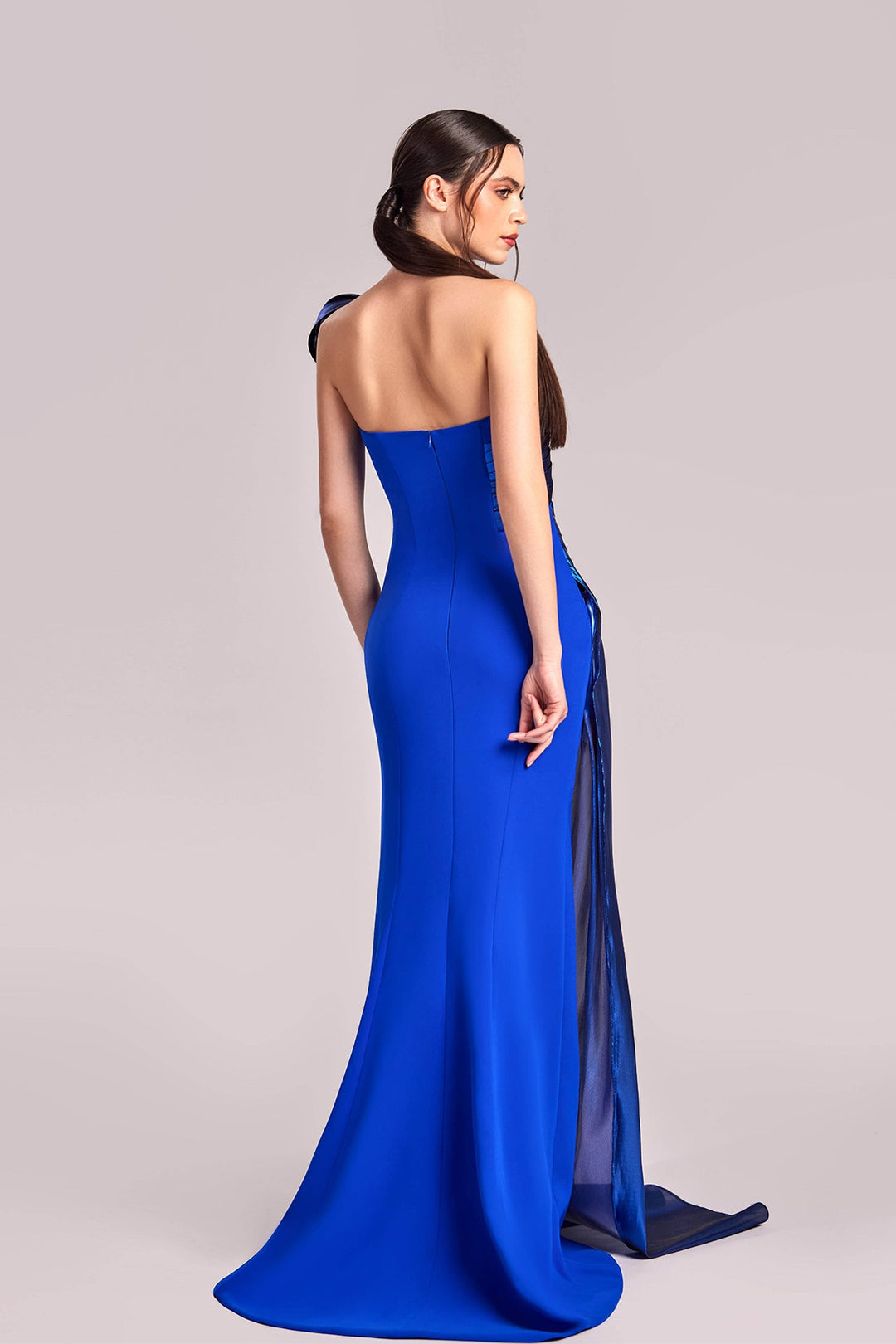 Asymmetrical Strapless Dress