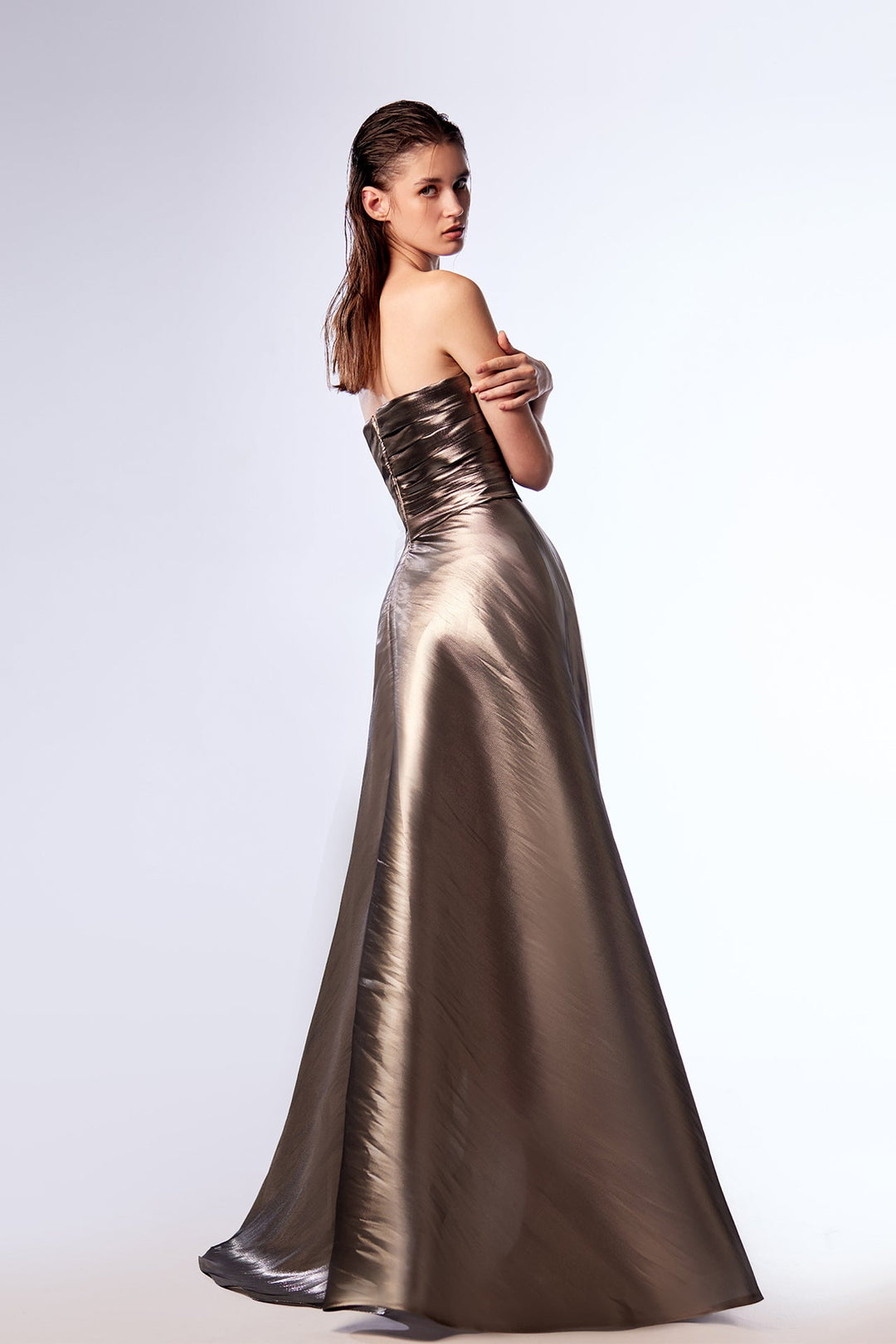 Metallic Strapless A-line Dress with Pleats