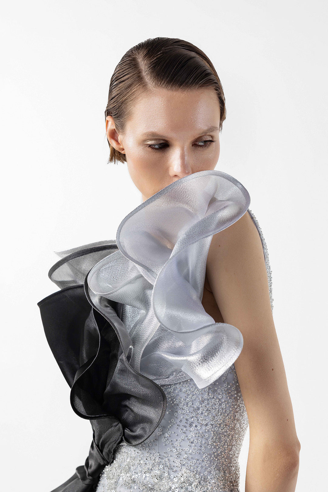 Lace Layered Sheer with Lamé Ruffles