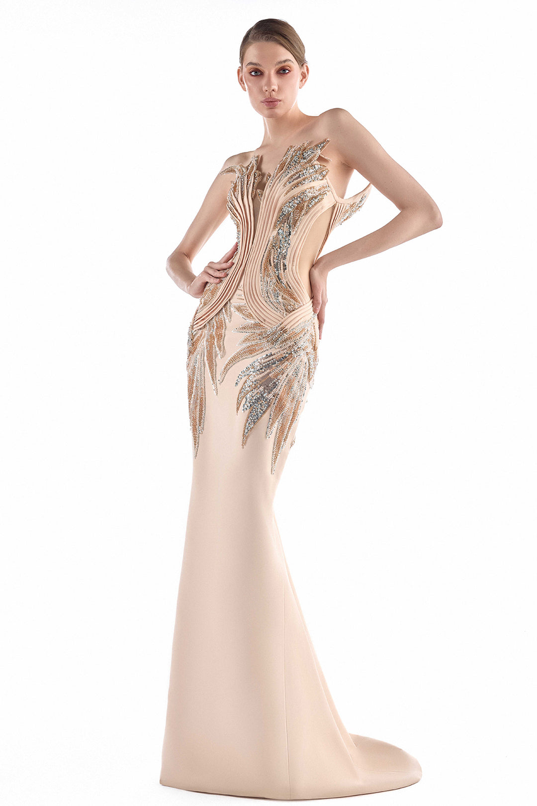Embroidered Illusion with Mermaid Dress
