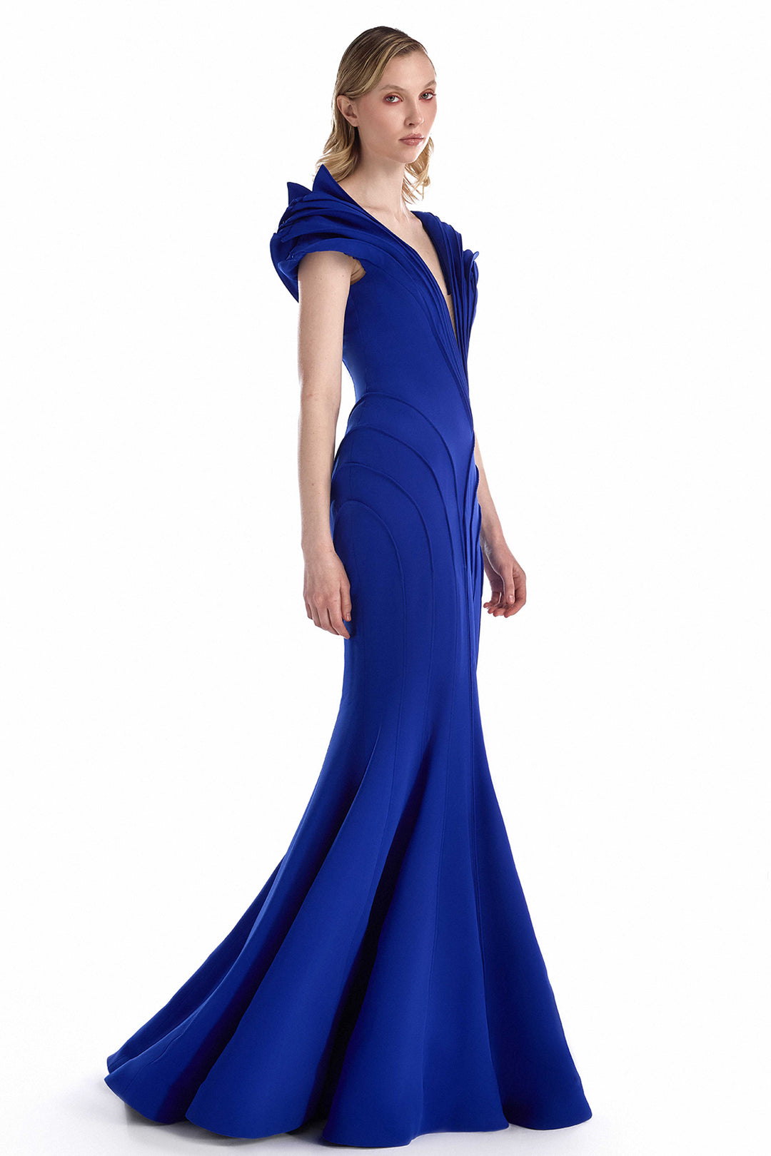 Sleeveless with Crepe and Mermaid Dress