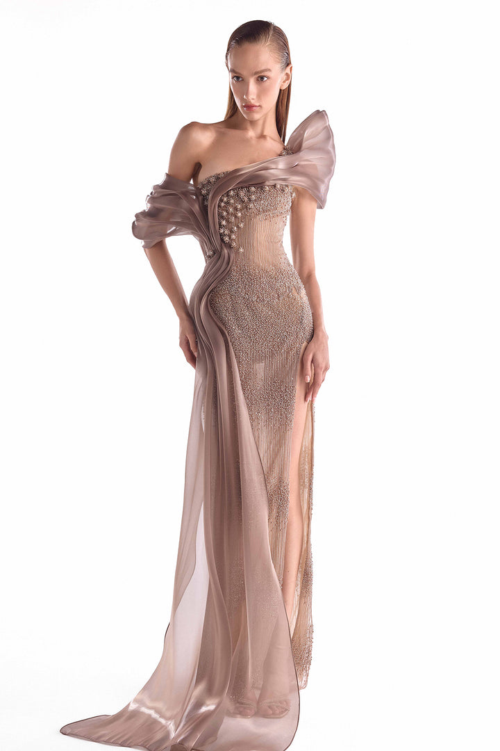 Illusion Long Dress with Draped Organza