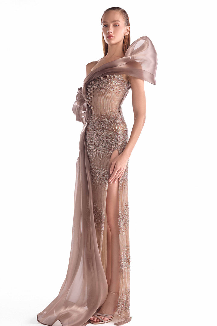 Illusion Long Dress with Draped Organza