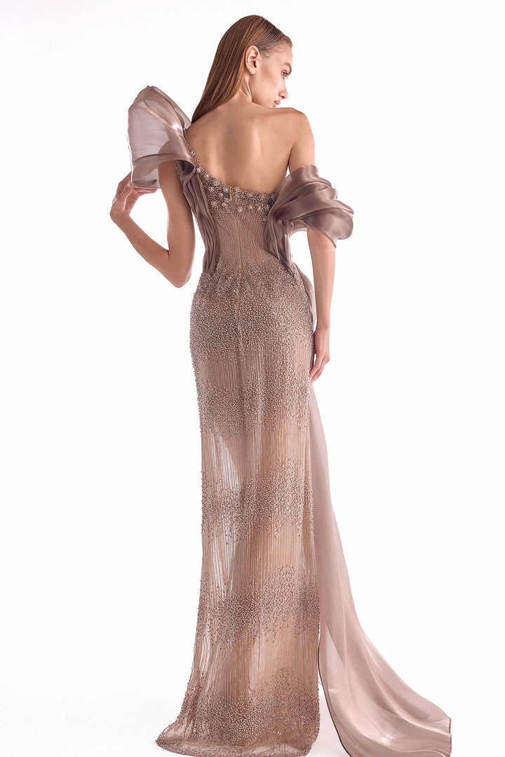 Illusion Long Dress with Draped Organza