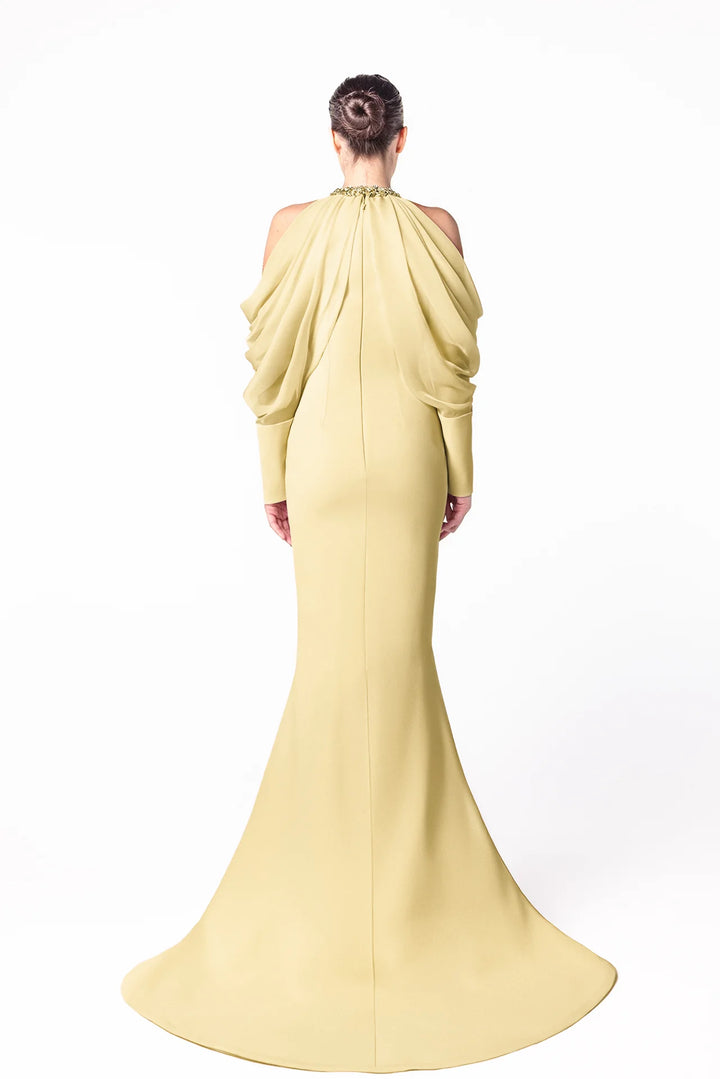 Mermaid Dress with Beaded Collar