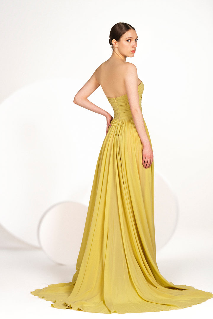 Strapless Pleated Flared Dress