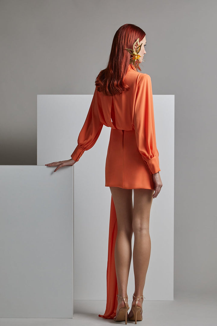 Long-Sleeved Draped Mini Dress