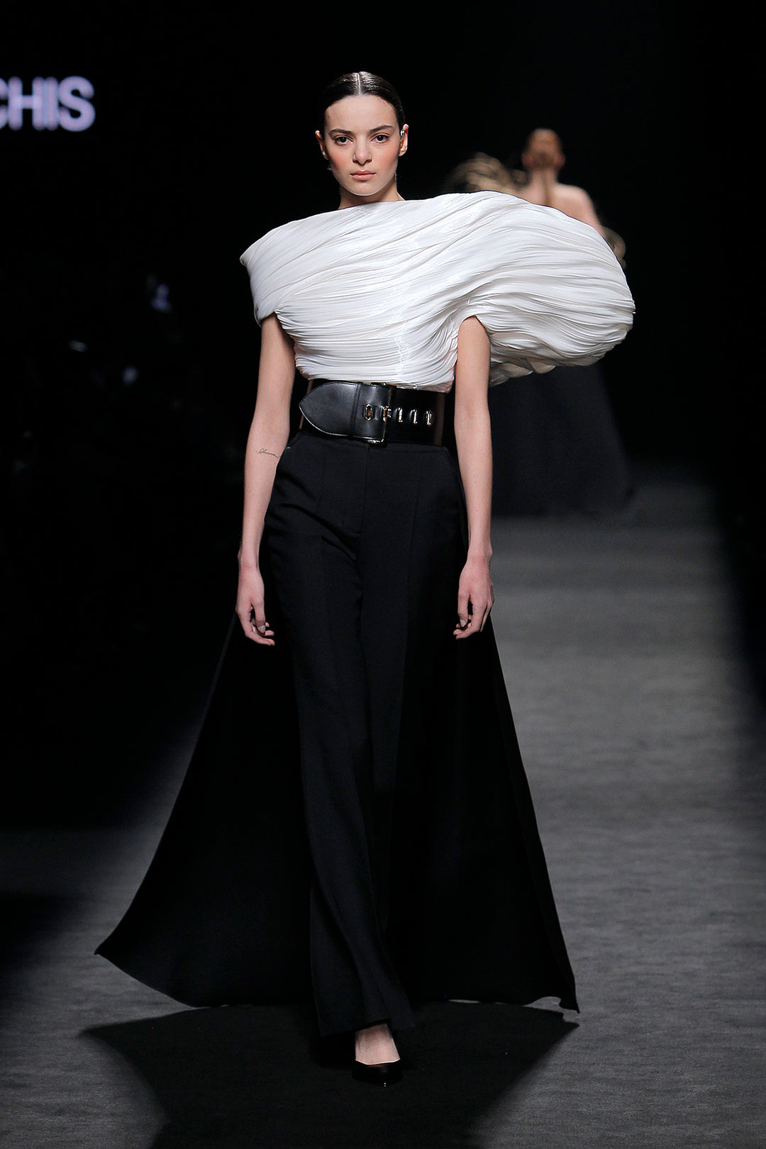 Pleated Top with Pants and Overskirt