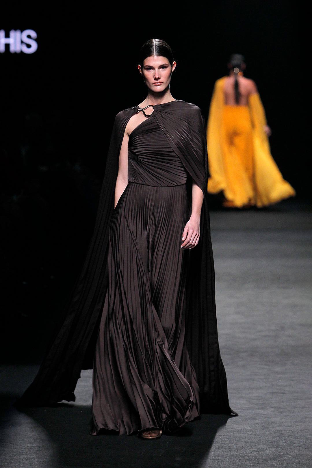 Pleated A-line Dress with Cape Sleeves