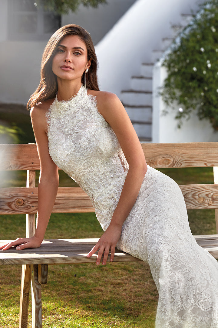 Mermaid Dress with Beaded Lace and Georgette Tails