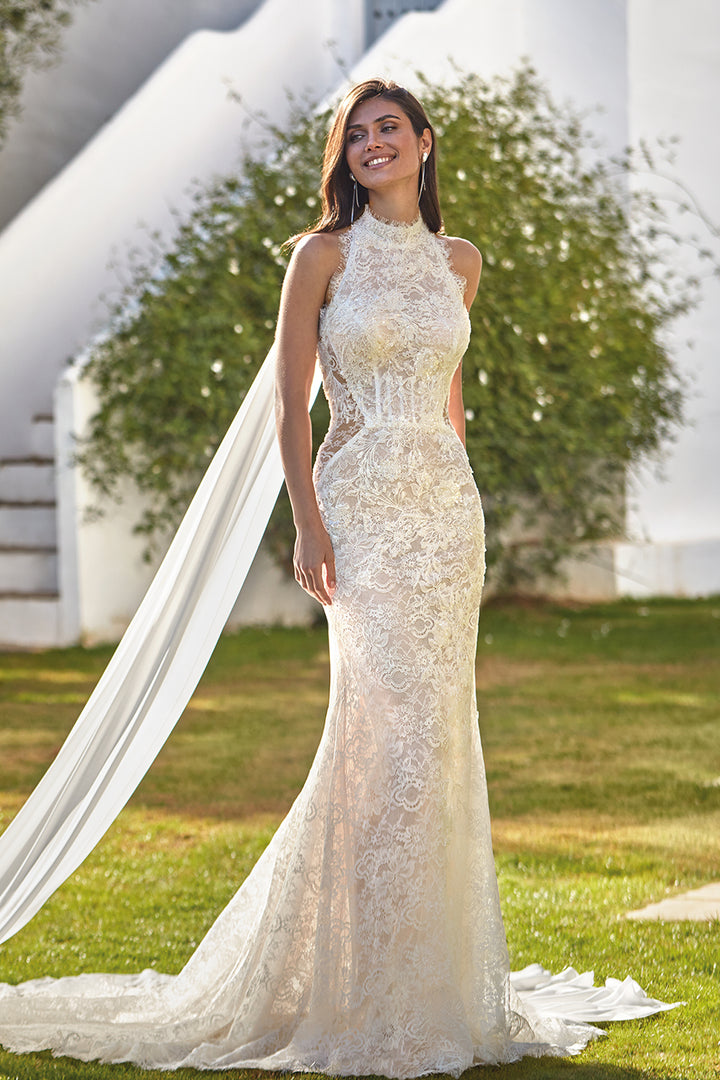 Mermaid Dress with Beaded Lace and Georgette Tails