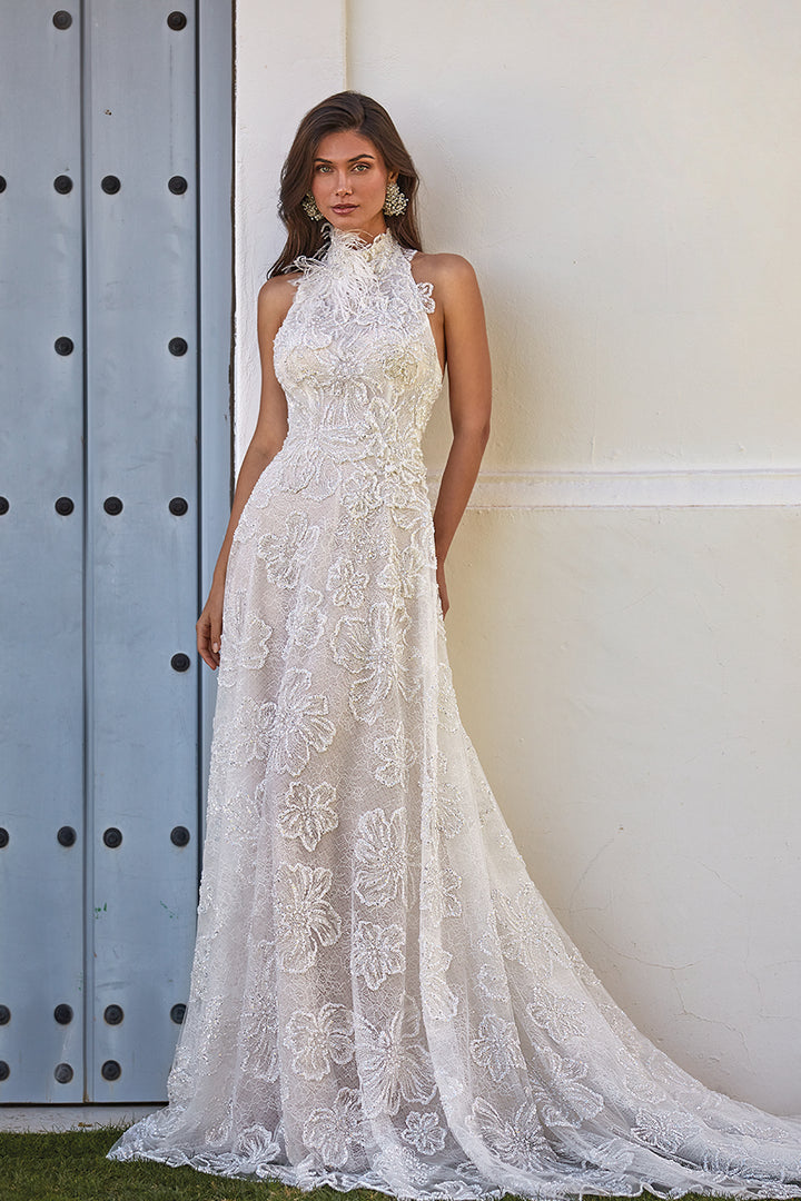 Lace Long Dress and Crystal Tulle with Feathers