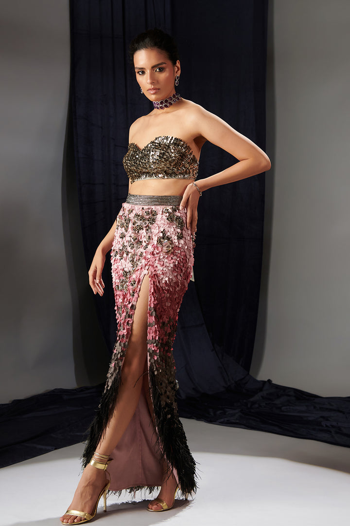 Mesh Two-Piece with Embroidered Maxi Skirt