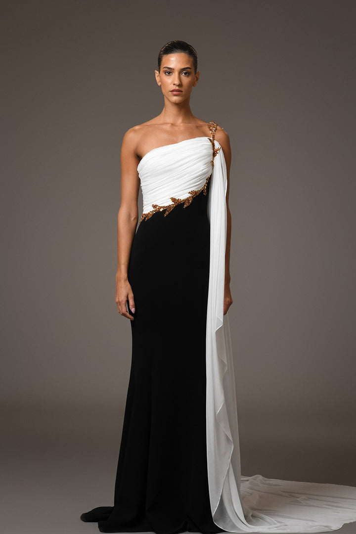Long Dress with Chiffon Embroidery