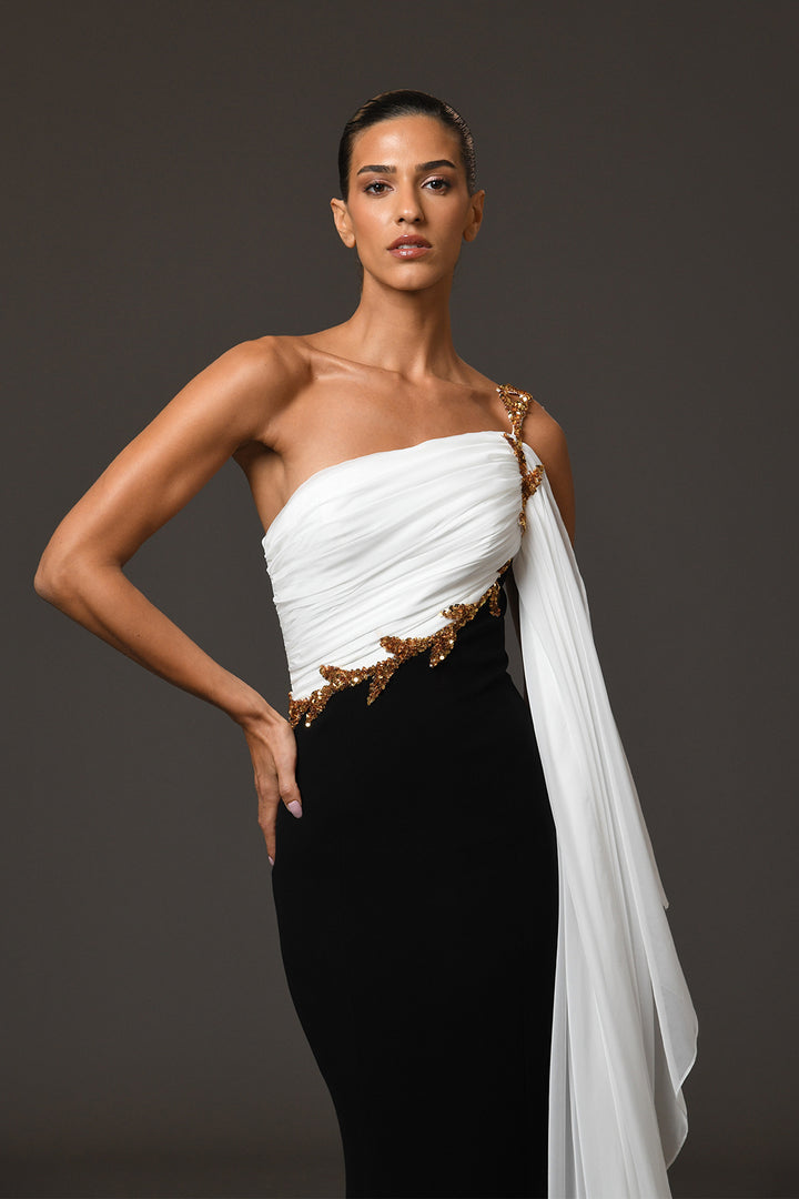 Long Dress with Chiffon Embroidery