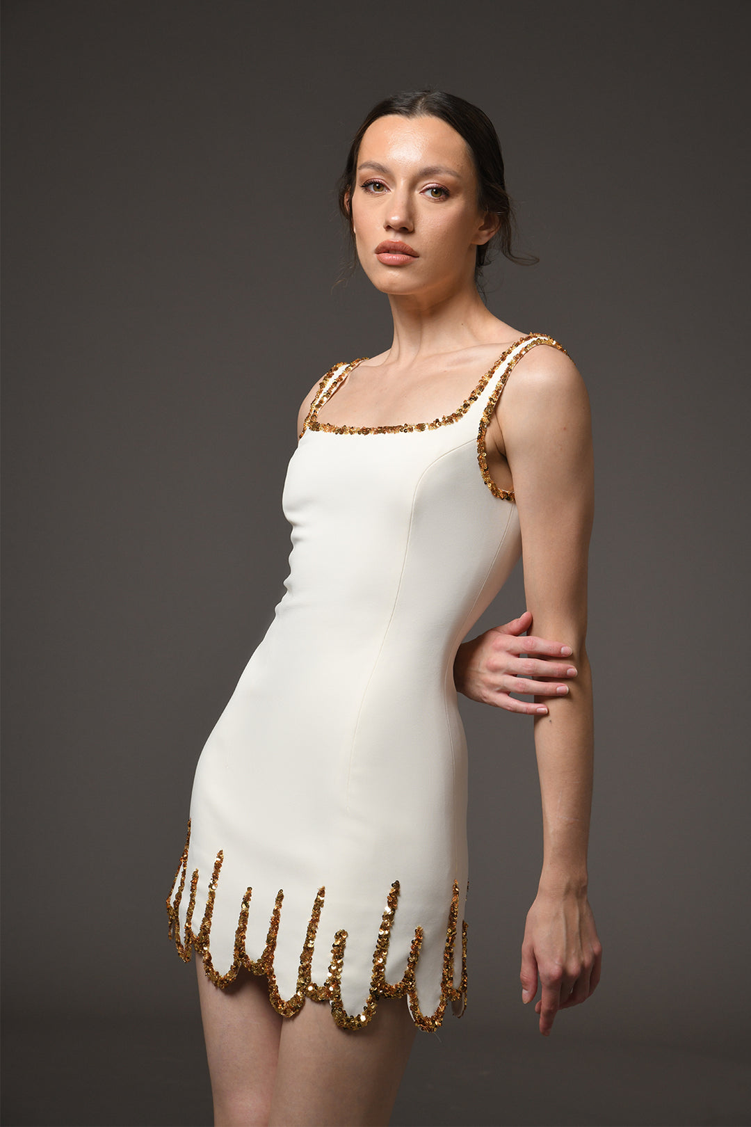 Mini Dress with Embroidery Detailing