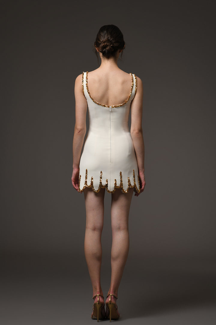 Mini Dress with Embroidery Detailing