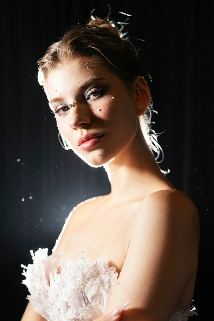 Strapless Silhouette Bodice with A-Line Dress