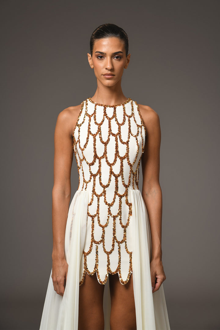 Mini Dress with Embroidery Overskirt