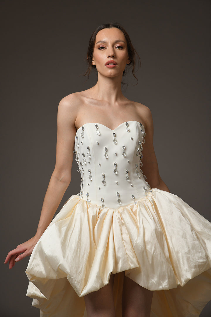 Strapless Mini Dress with Crystal Embroidery