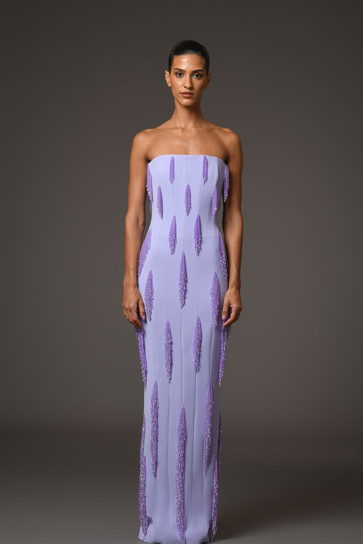 Strapless Long Dress with Beaded Fringes
