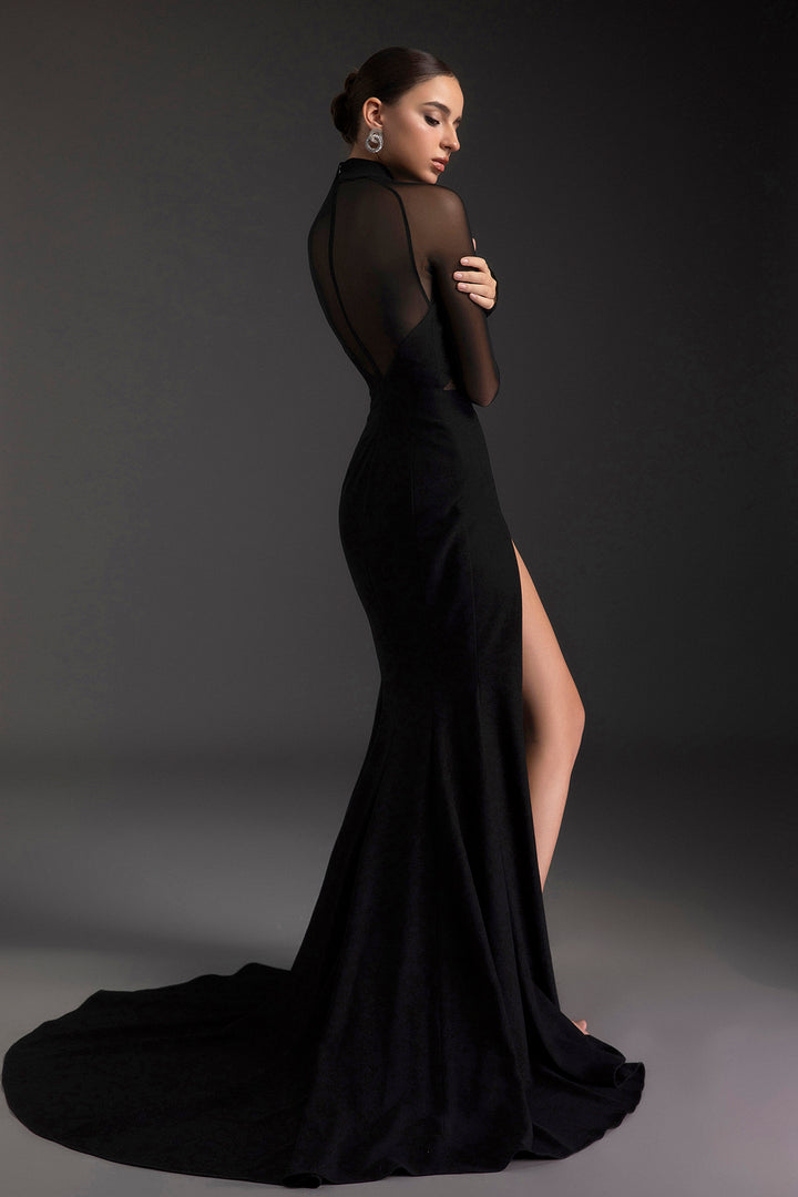Long Sleeve Tulle Cut-Out Slit Dress