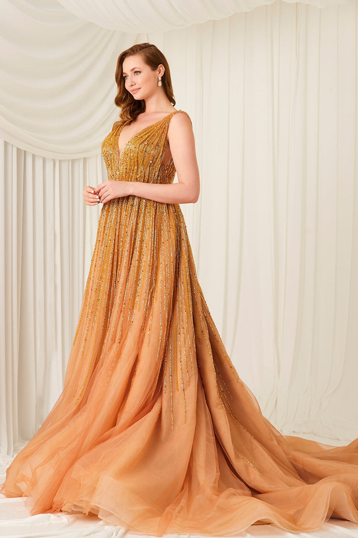 Beaded Gold Dress with V-neckline