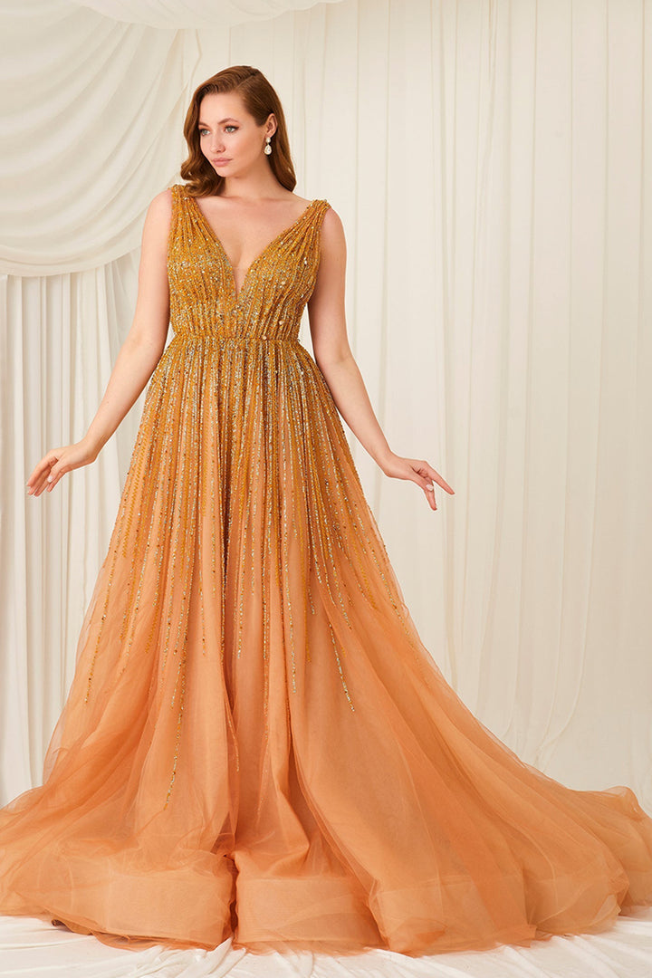 Beaded Gold Dress with V-neckline