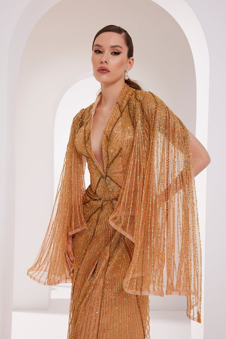 Long Dress with Detachable Tail