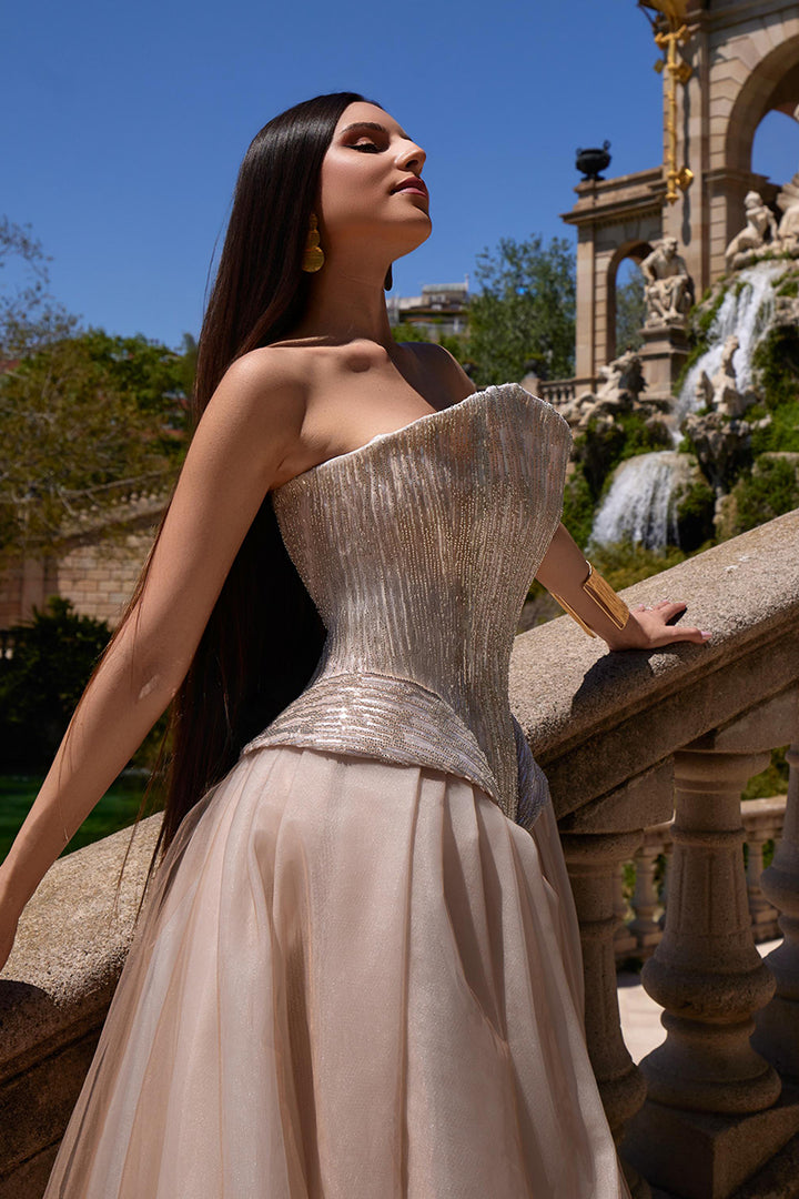 Corseted A-line with Sheer Skirt