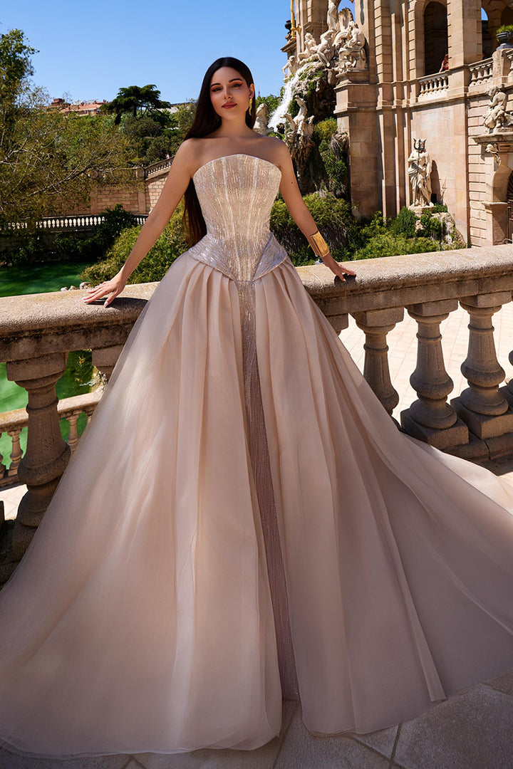 Corseted A-line with Sheer Skirt