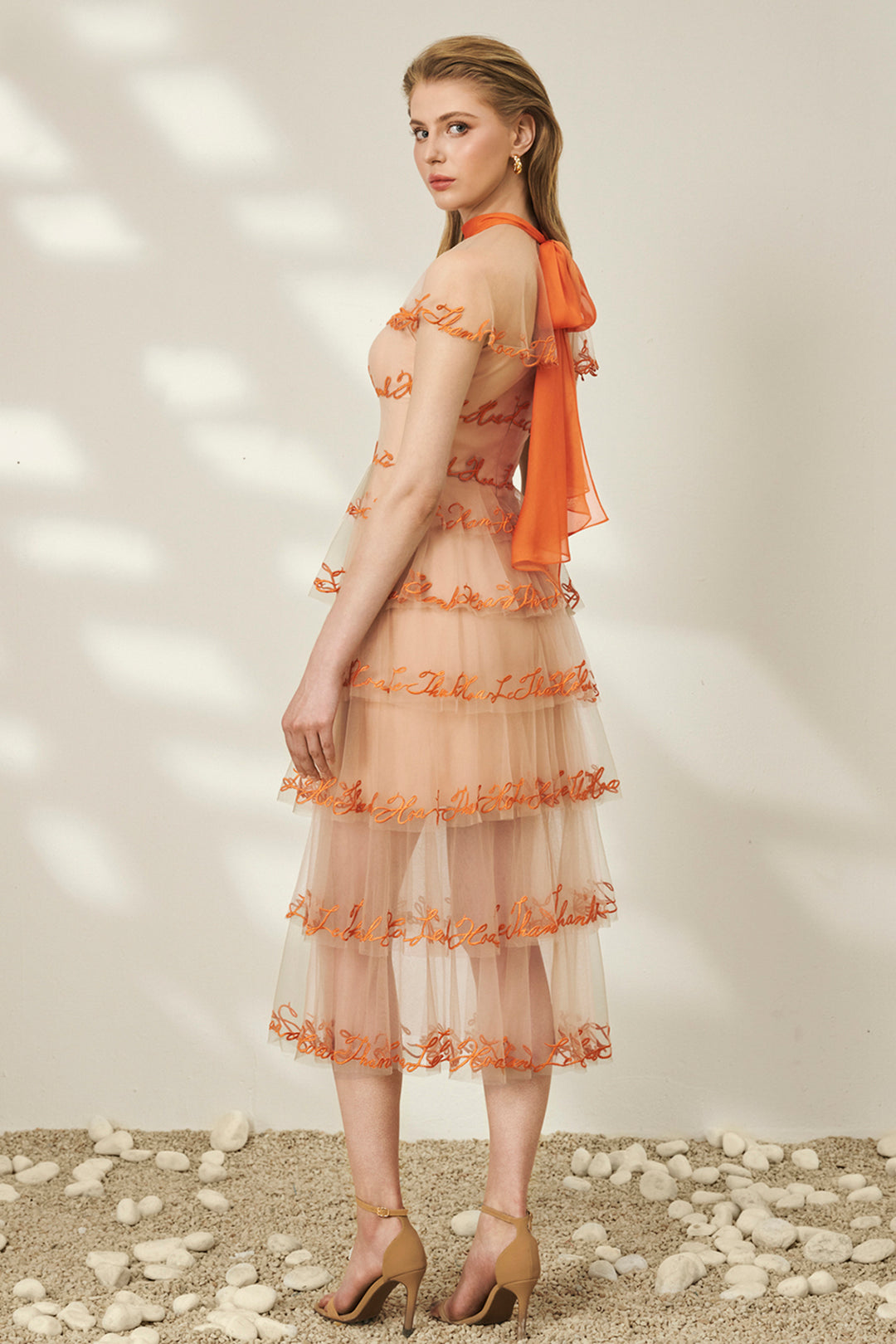 Sheer Mesh Neckline Layered Tulle Dress