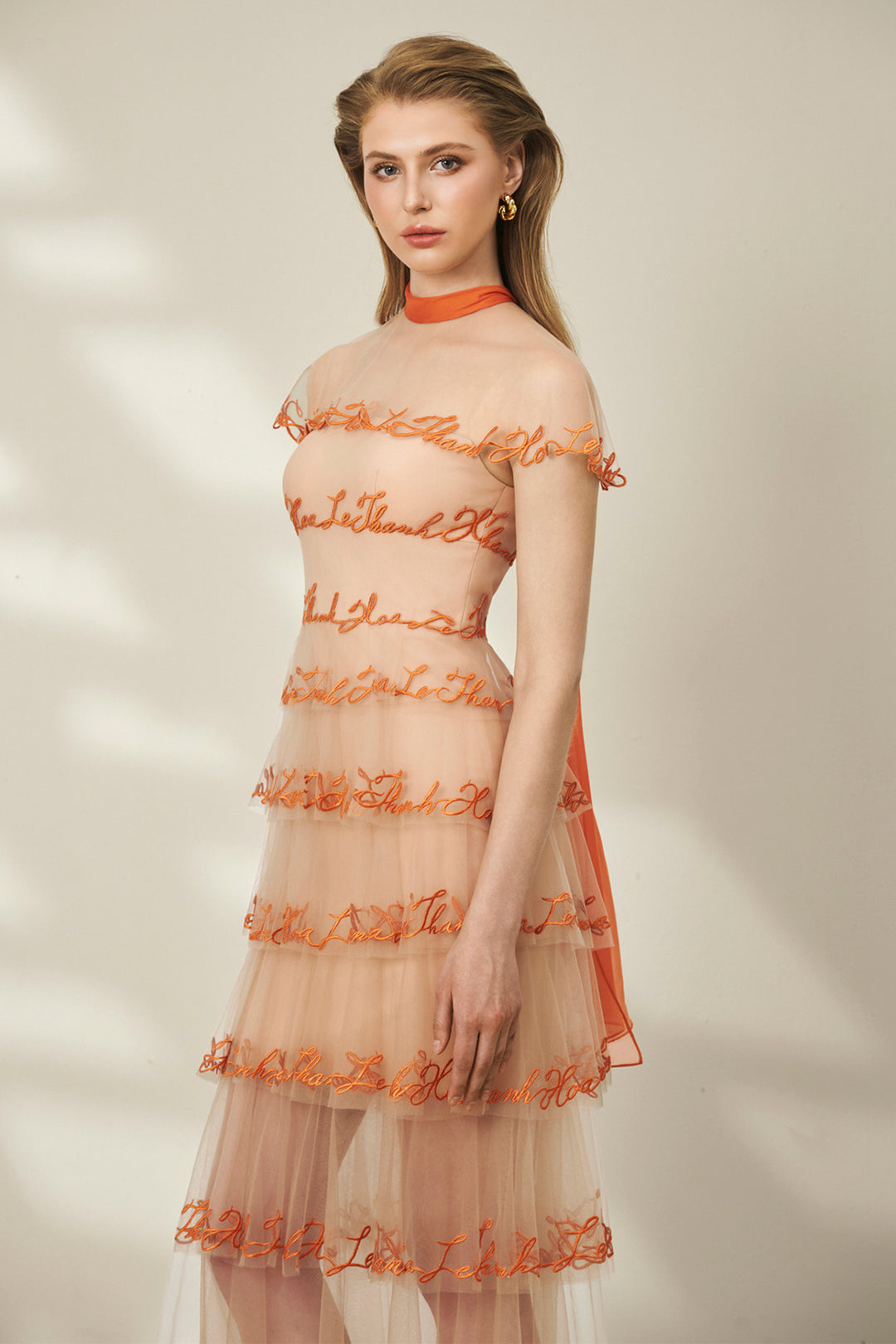 Sheer Mesh Neckline Layered Tulle Dress
