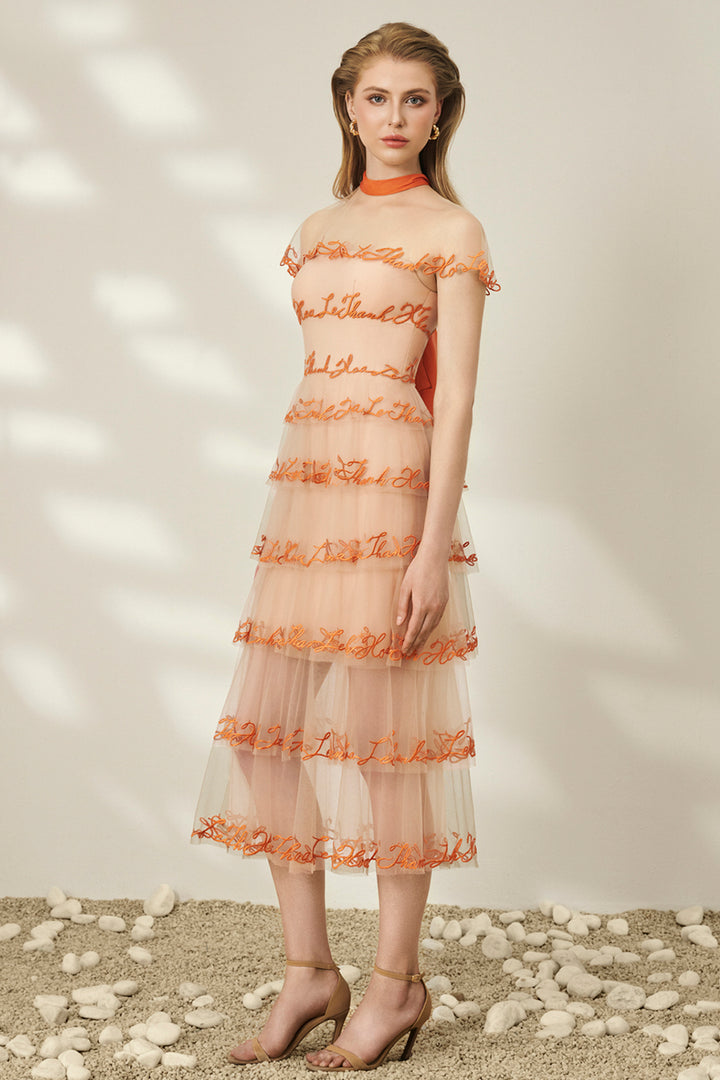 Sheer Mesh Neckline Layered Tulle Dress