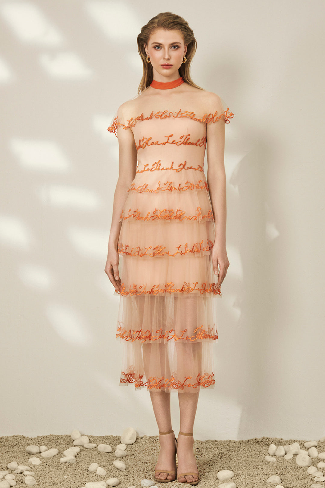 Sheer Mesh Neckline Layered Tulle Dress